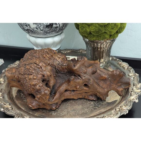 Burl Wood Hardwood From Arizona desert Manzanita Large Pen Sculpture Section - Picture 2 of 8